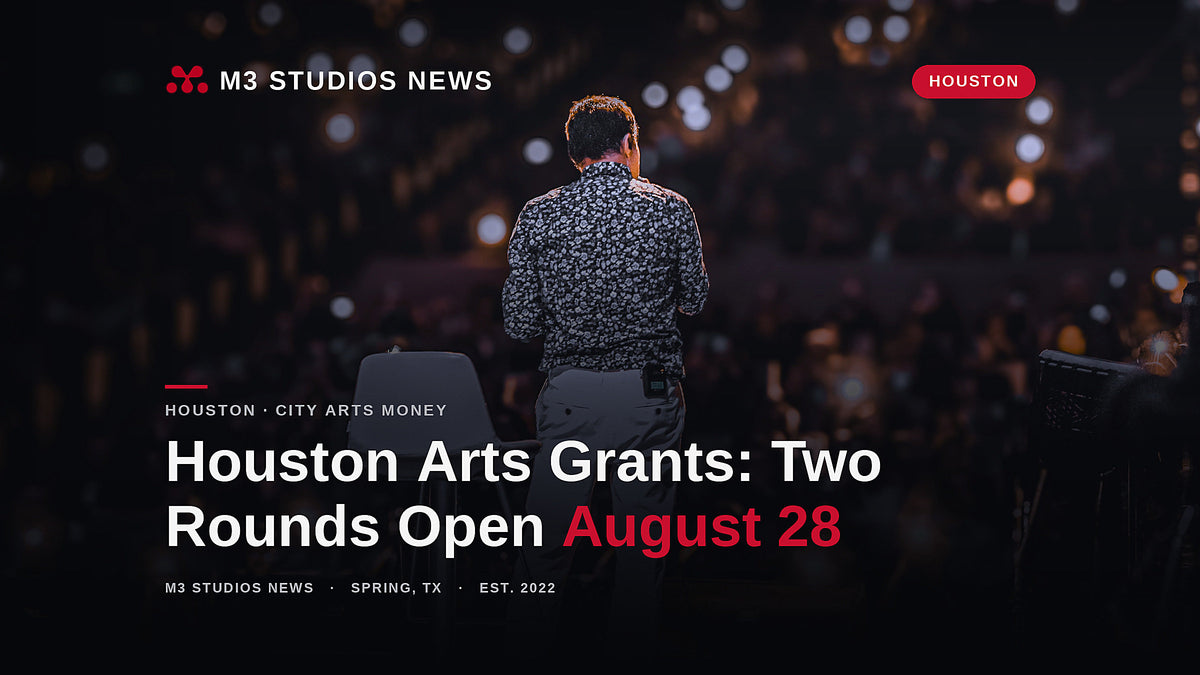 A performer seen from behind on a lit stage facing a full audience, illustrating the public engagement Houston arts grants are written to fund for individual artists.